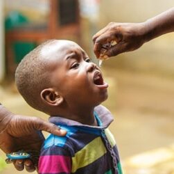 Célébration de l'élimination des maladies tropicales négligées au Togo : Honneurs aux acteurs et partenaires