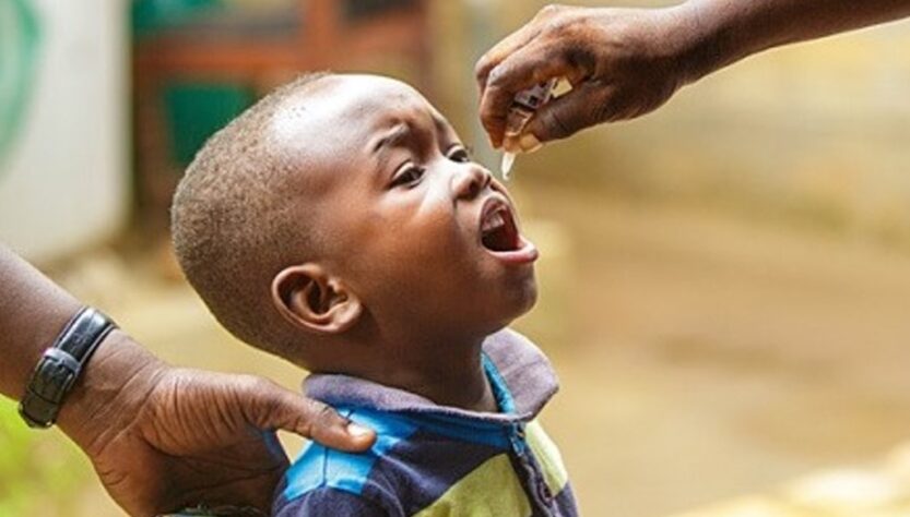 Célébration de l'élimination des maladies tropicales négligées au Togo : Honneurs aux acteurs et partenaires